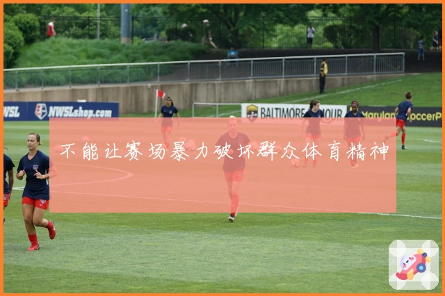 不能让赛场暴力破坏群众体育精神