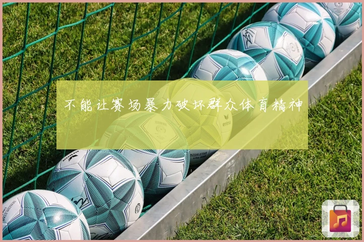 不能让赛场暴力破坏群众体育精神